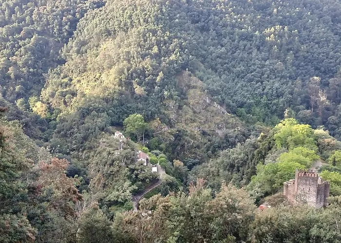 Lousa's Brown & White Lousã