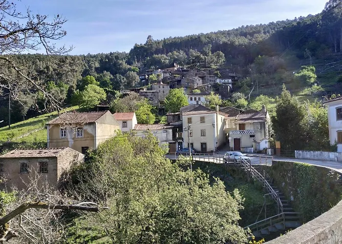 Lousa's Brown & White *