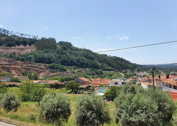 Lousa's Brown & White * Lousã